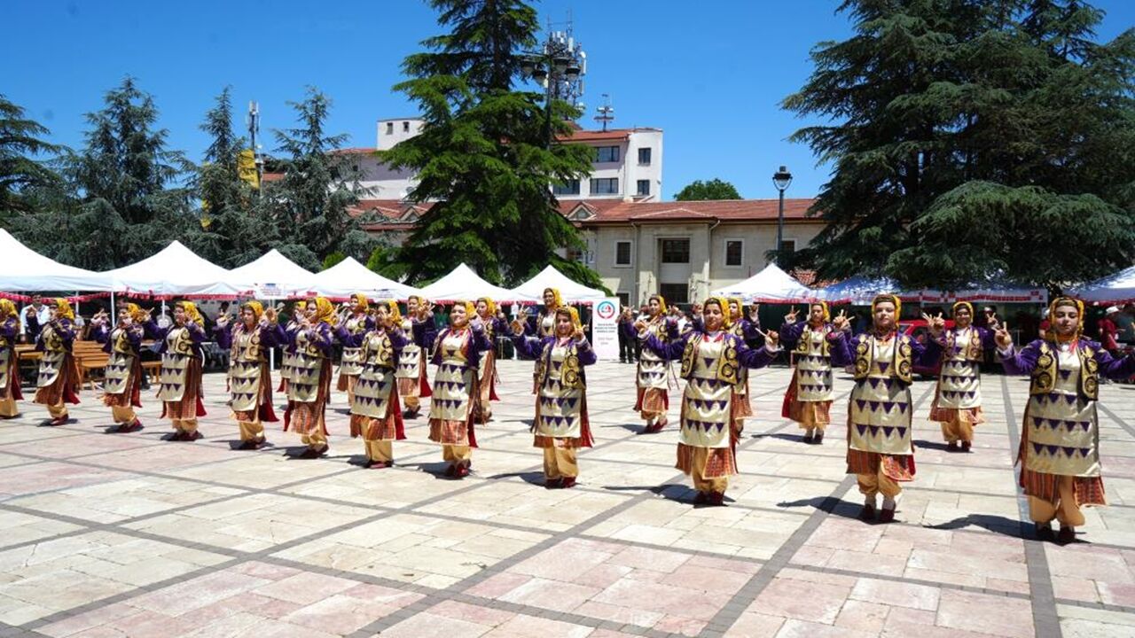 Kastamonu Gösteri Sergi (6)