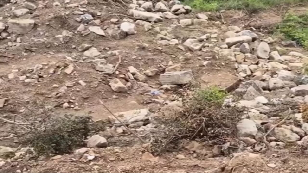 Kastamonu Iş Makinesiyle Define Arandı (3)