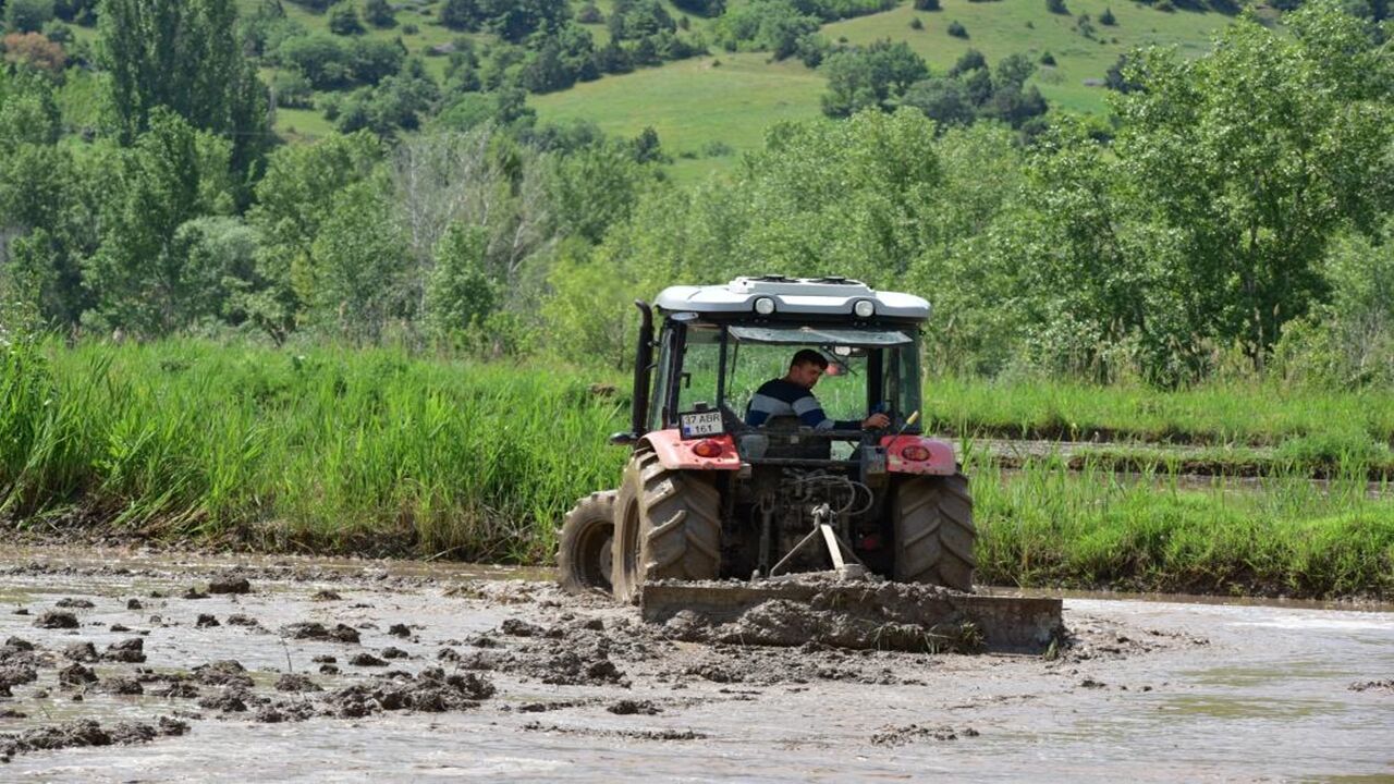 Kastamonu Tosya Sarıkılçık Pirinç (3)
