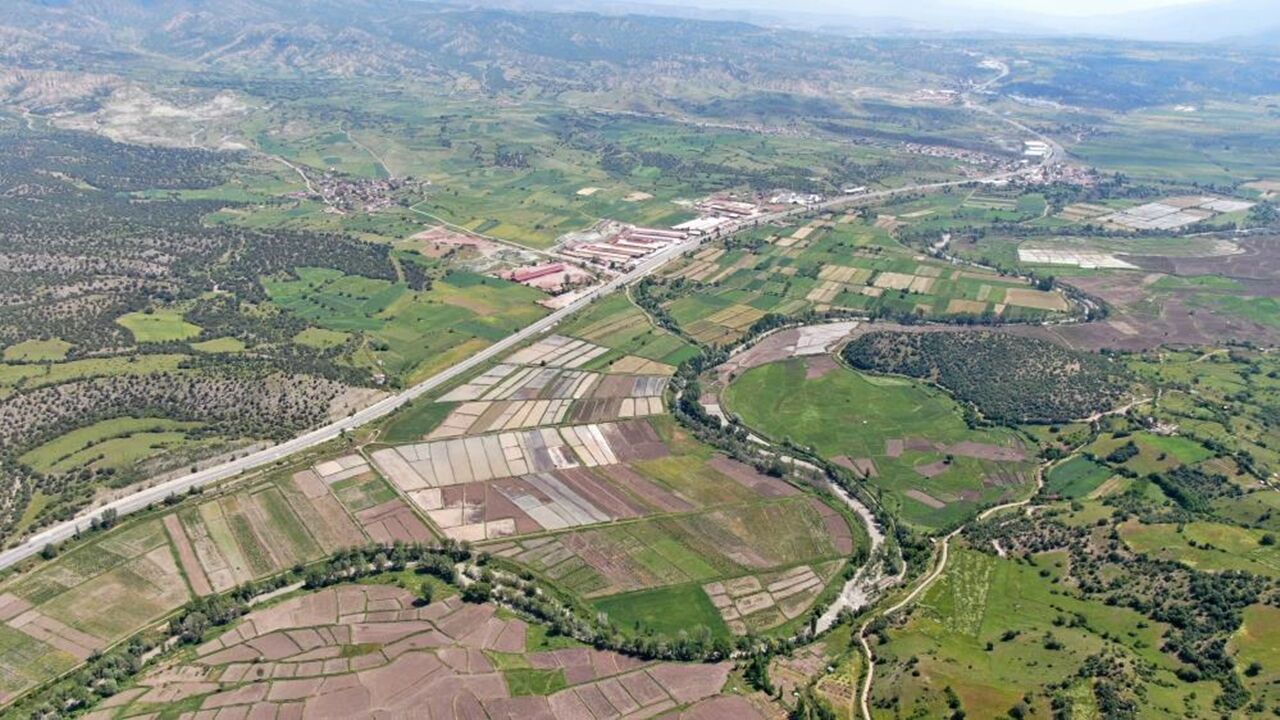 Kastamonu Tosya Sarıkılçık Pirinç (4)