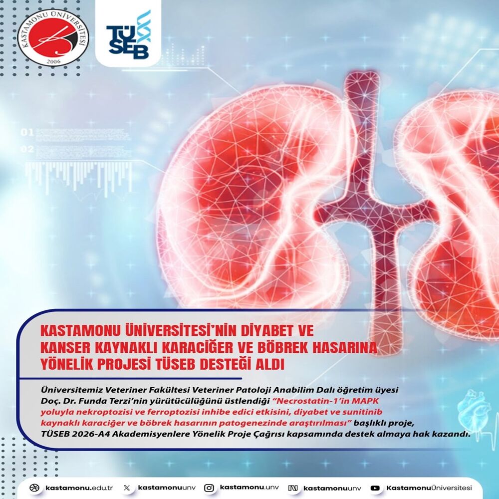 Kastamonu Üniversite Sağlık (1)