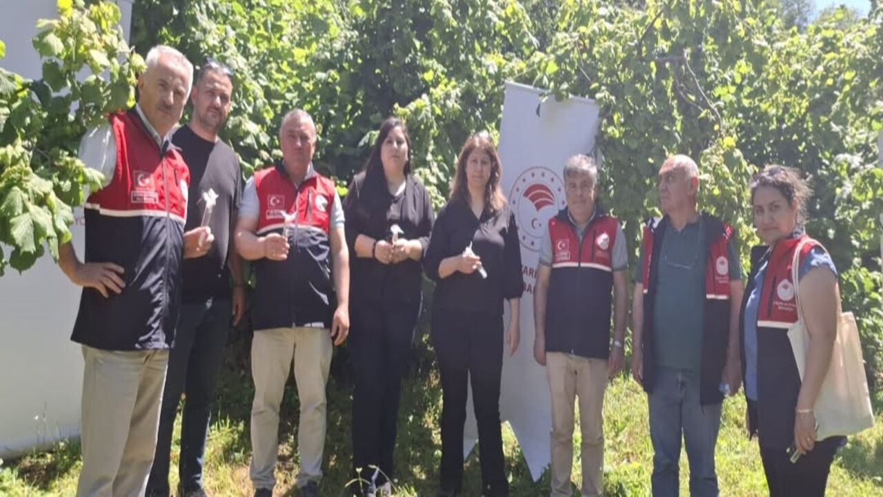 Kastamonu Ya 5 Bin Savaşçı (2)