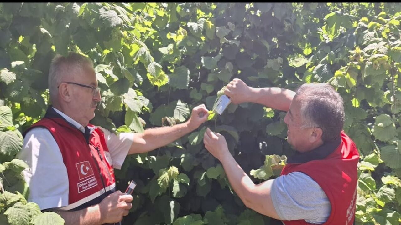 Kastamonu Ya 5 Bin Savaşçı (3)