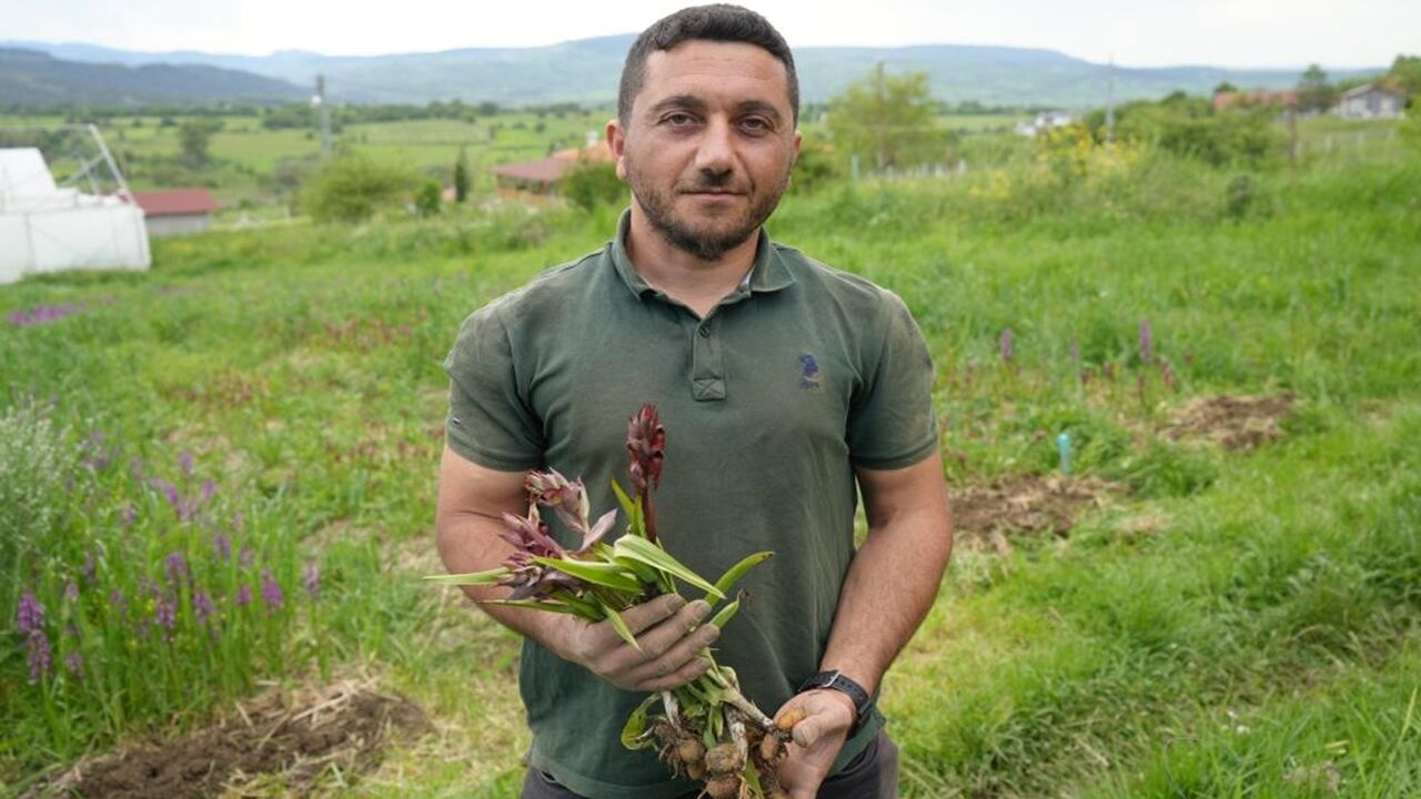 Kastamonu Zengin Edecek Salep (4)