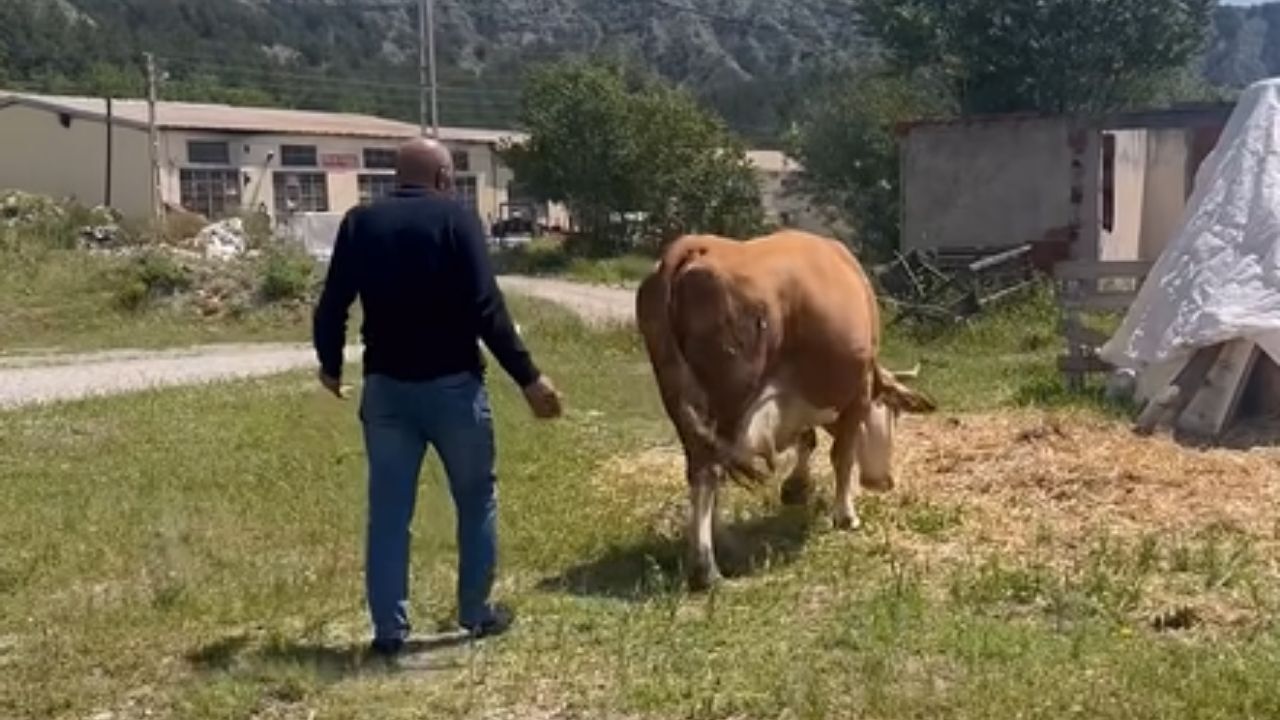 Kastamonu’da 24 Saatlik Arama Drone Ile Son Buldu (2)