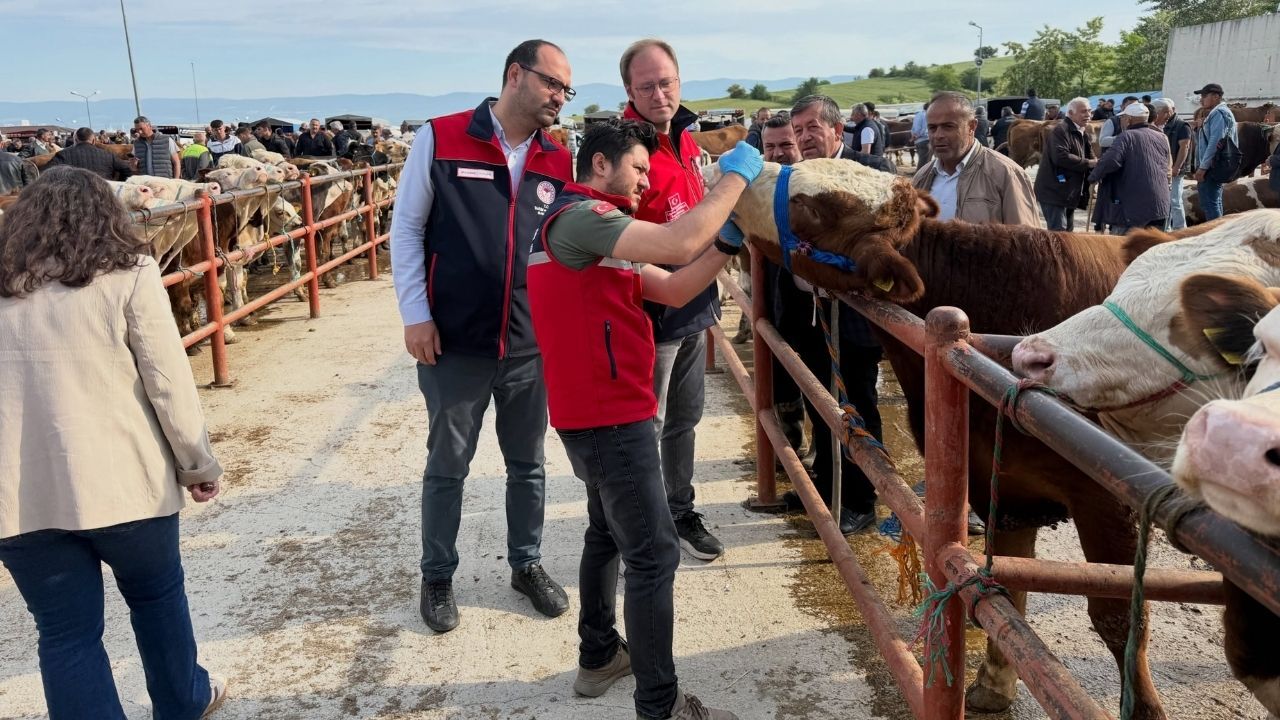 Kastamonu’da Hayvan Satış Yerlerinde Güven Veren Denetim (2)
