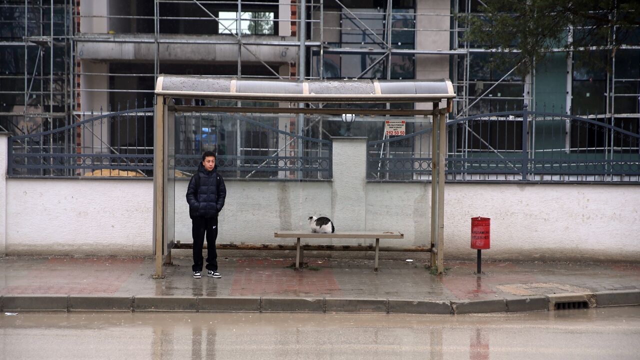 Kedi Durağı Mesken Tuttu (2)