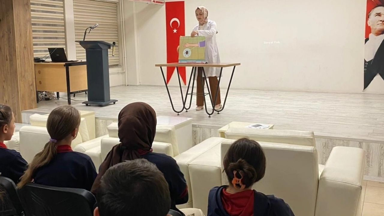 Kene Taşköprü (2)