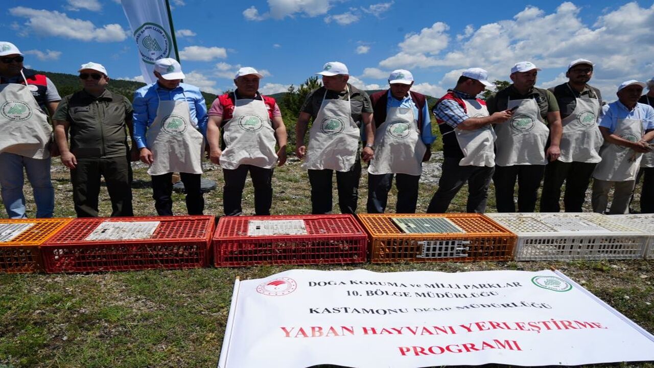 Kınalı Keklik Kastamonu Uçtu (4)