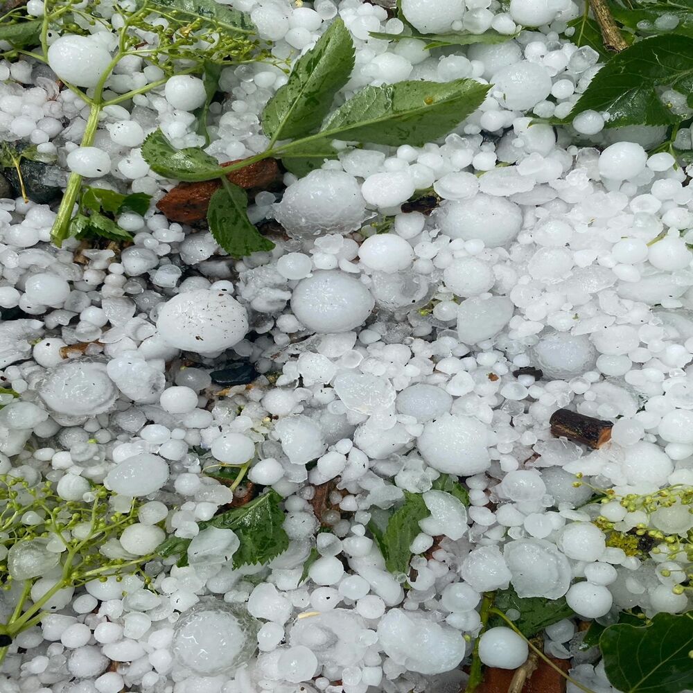 Koçanlı (1)