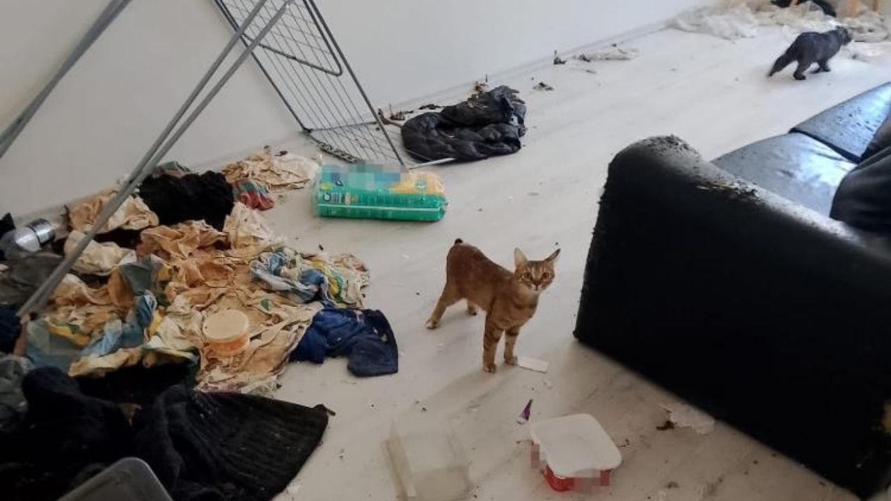 Komşuları Evinden Eden Kokunun Nedeni Ortaya Çıktı (3)