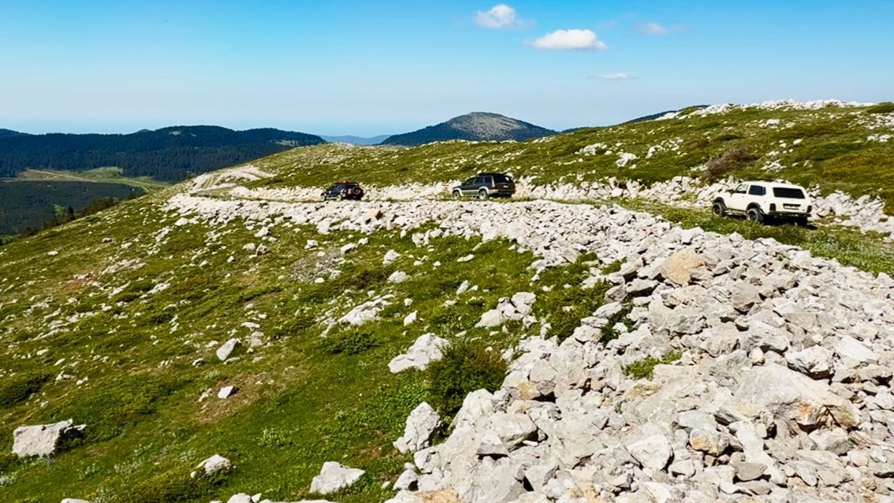 Koru Yaylası (2)