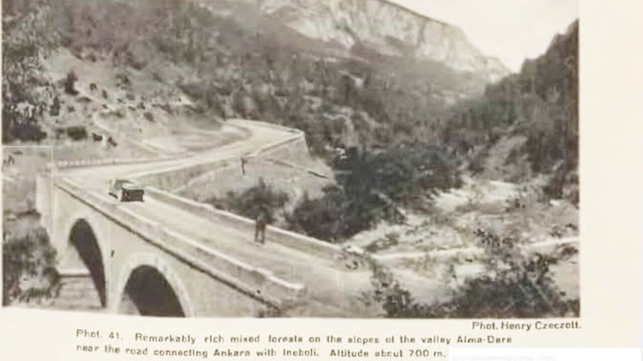Küre İki Çayı Köprüsü (1)