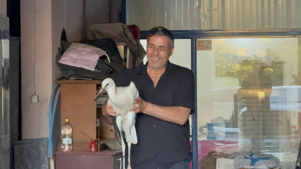 Otoyıkama Leylek (1)