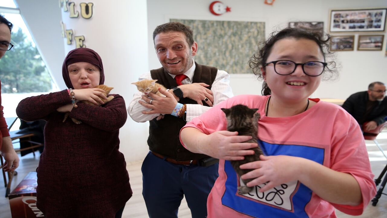 Özelbireyler Kedi Sevgisi (2)