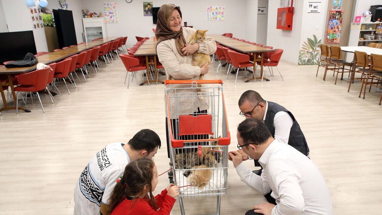 Özelbireyler Kedi Sevgisi (4)