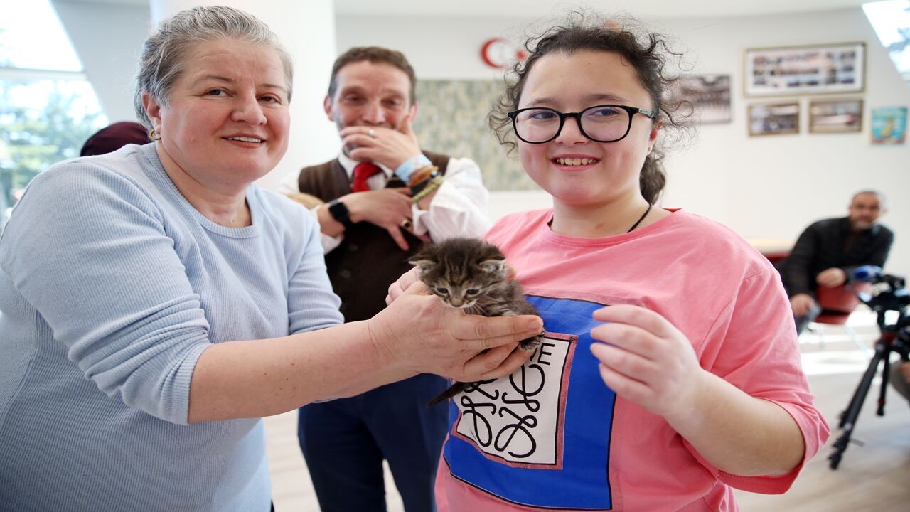 Özelbireyler Kedi Sevgisi (7)