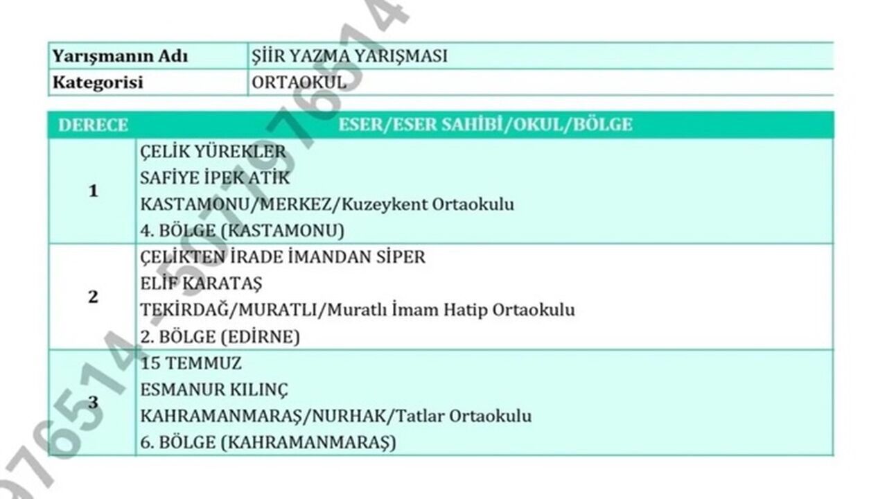 Safiye İpek Atik (2)