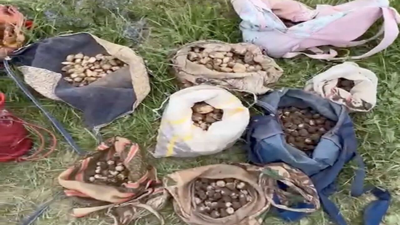 Sahlep Rekor Ceza