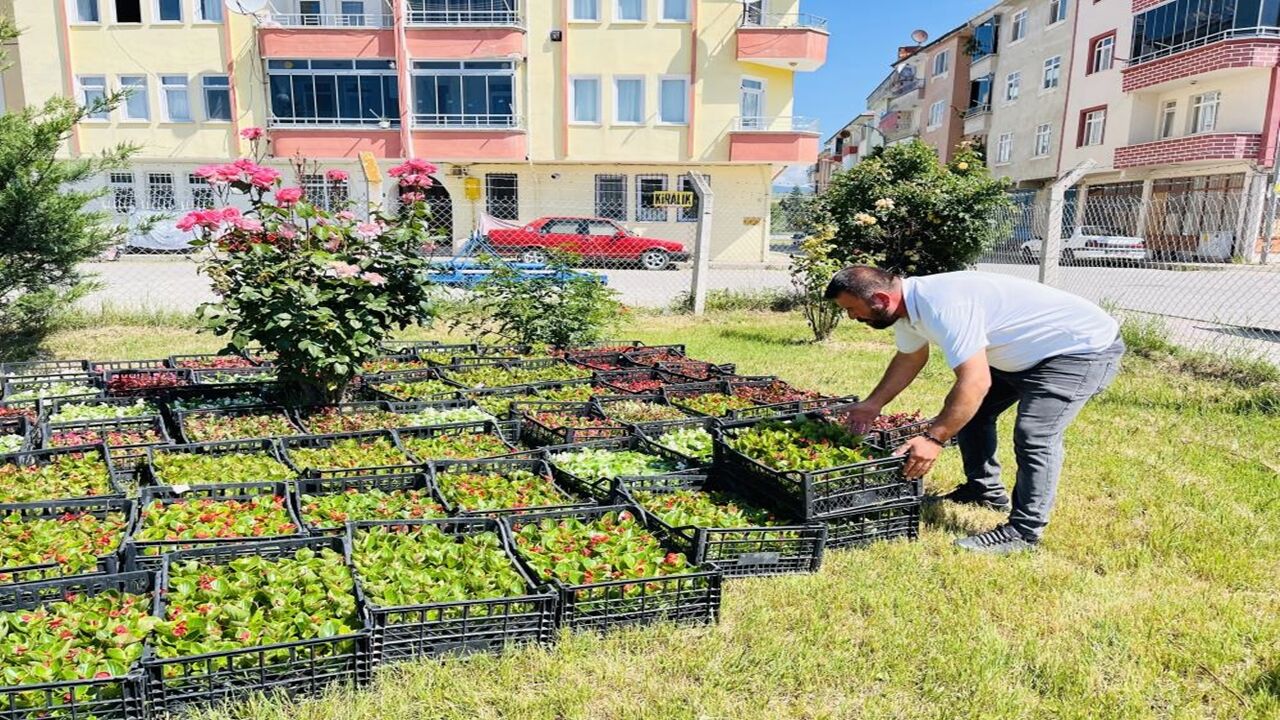 Taşköprü Rengarenk Çiçek Olacak (1)