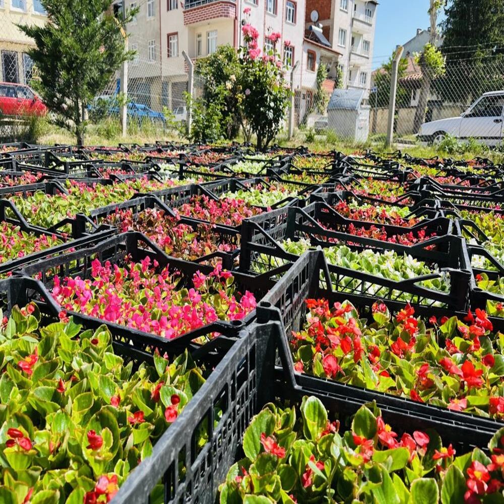 Taşköprü Rengarenk Çiçek Olacak (5)