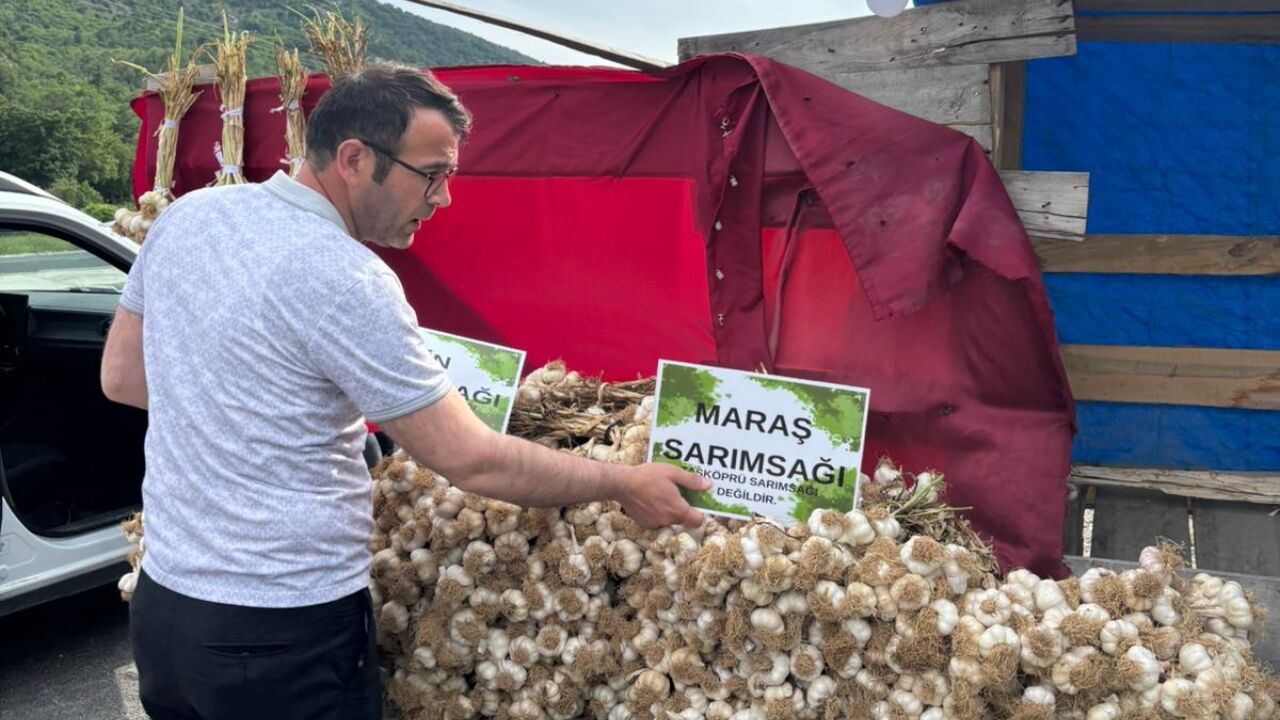 Taşköprü Sarımsağı İçin Sahada Yoğun Denetim Taklit Ürünlere Geçit Yok (1)