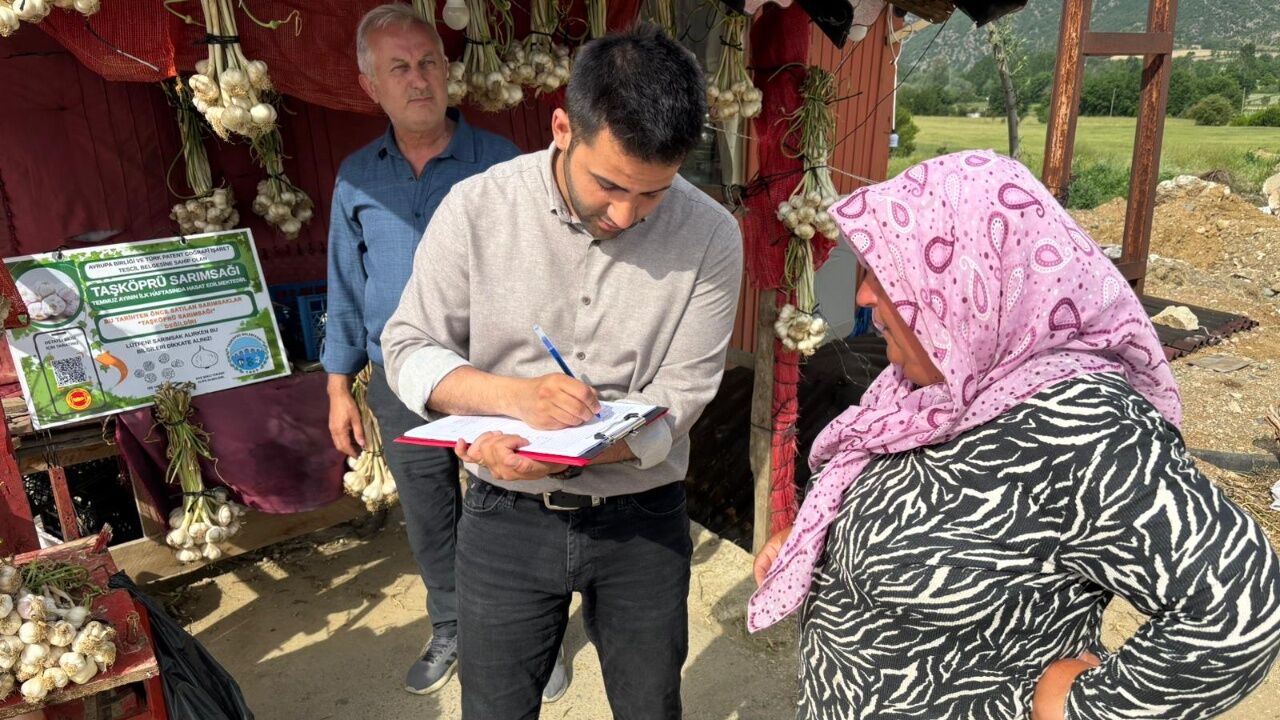 Taşköprü Sarımsağı İçin Sahada Yoğun Denetim Taklit Ürünlere Geçit Yok (2)