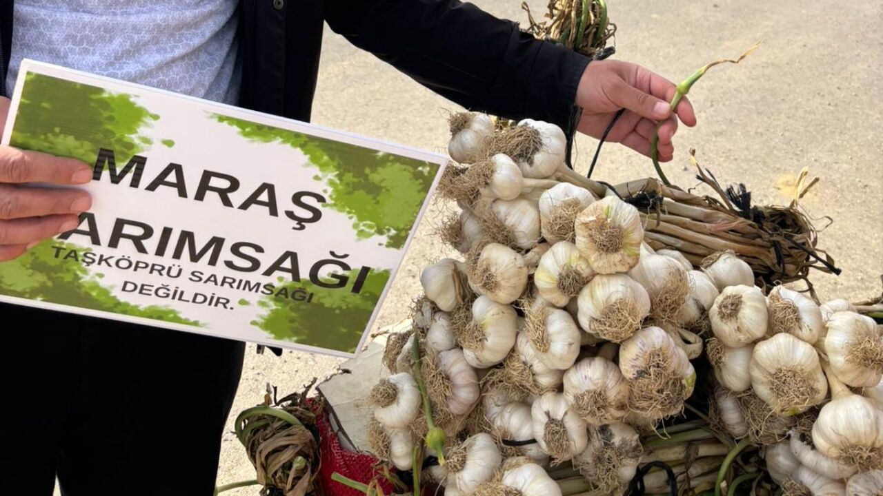 Taşköprü Sarımsağı İçin Sahada Yoğun Denetim Taklit Ürünlere Geçit Yok (3)