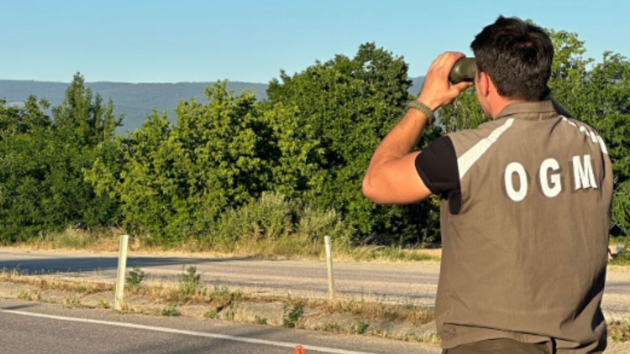 Taşköprü Yolunda Mobil Denetim! Orman Ekiplerinden Sıkı Kontrol