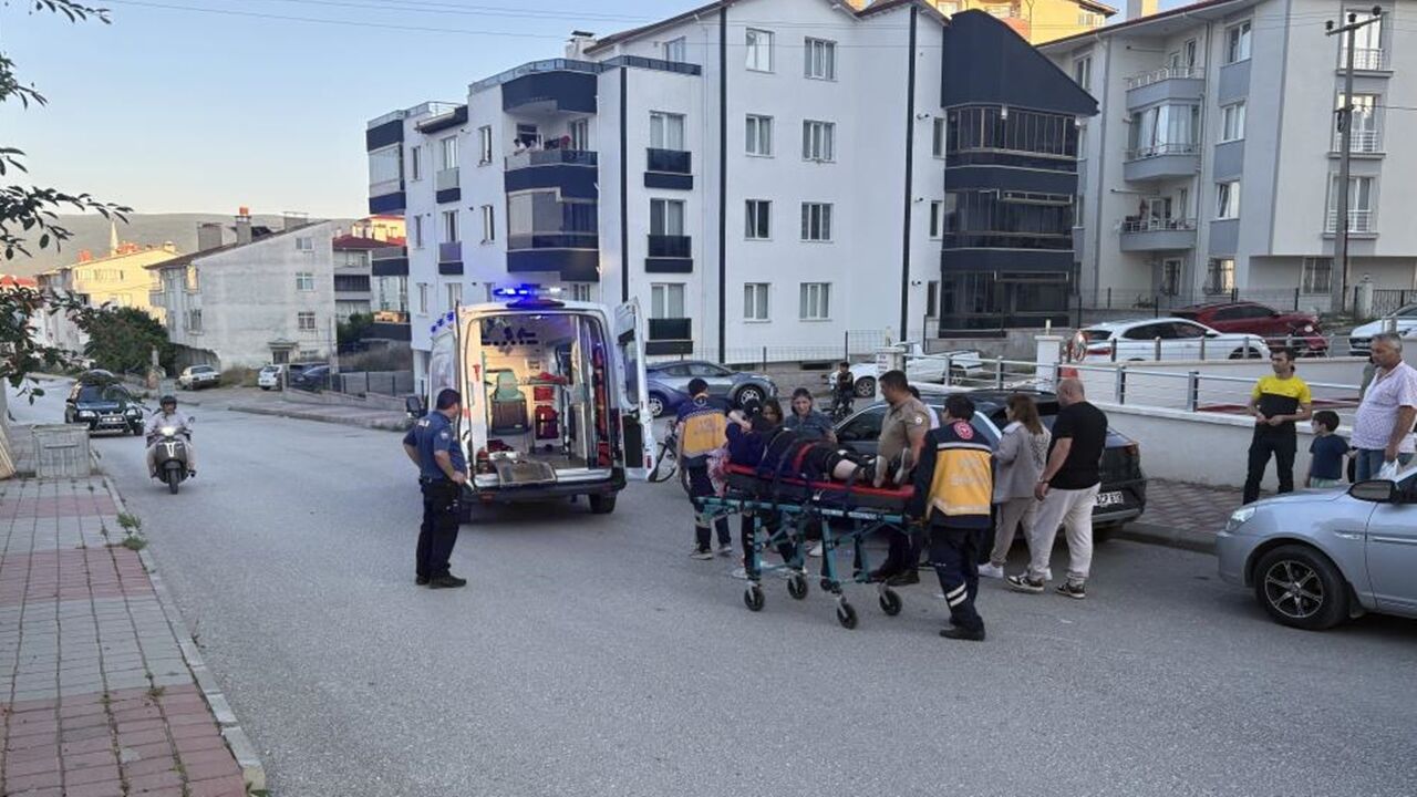 Tosya Kaza Feci (2)