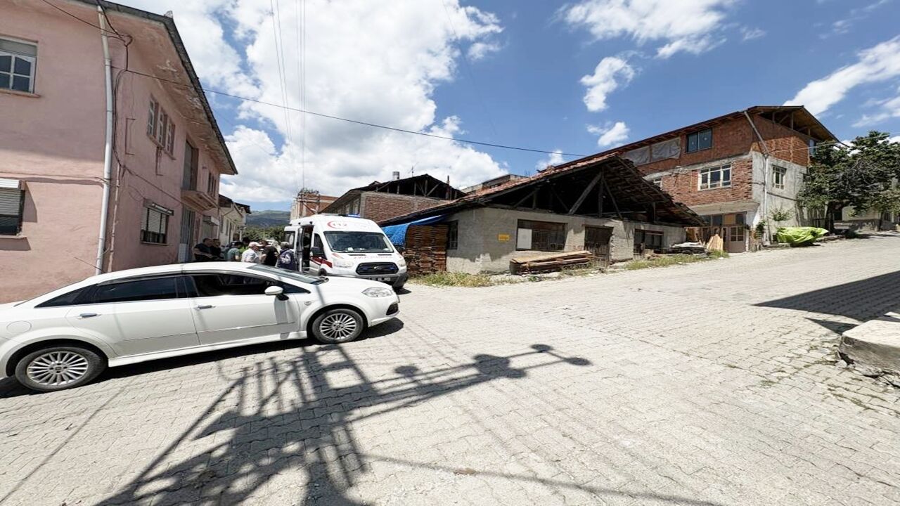 Tosyada Otomobil Çarptı (1)