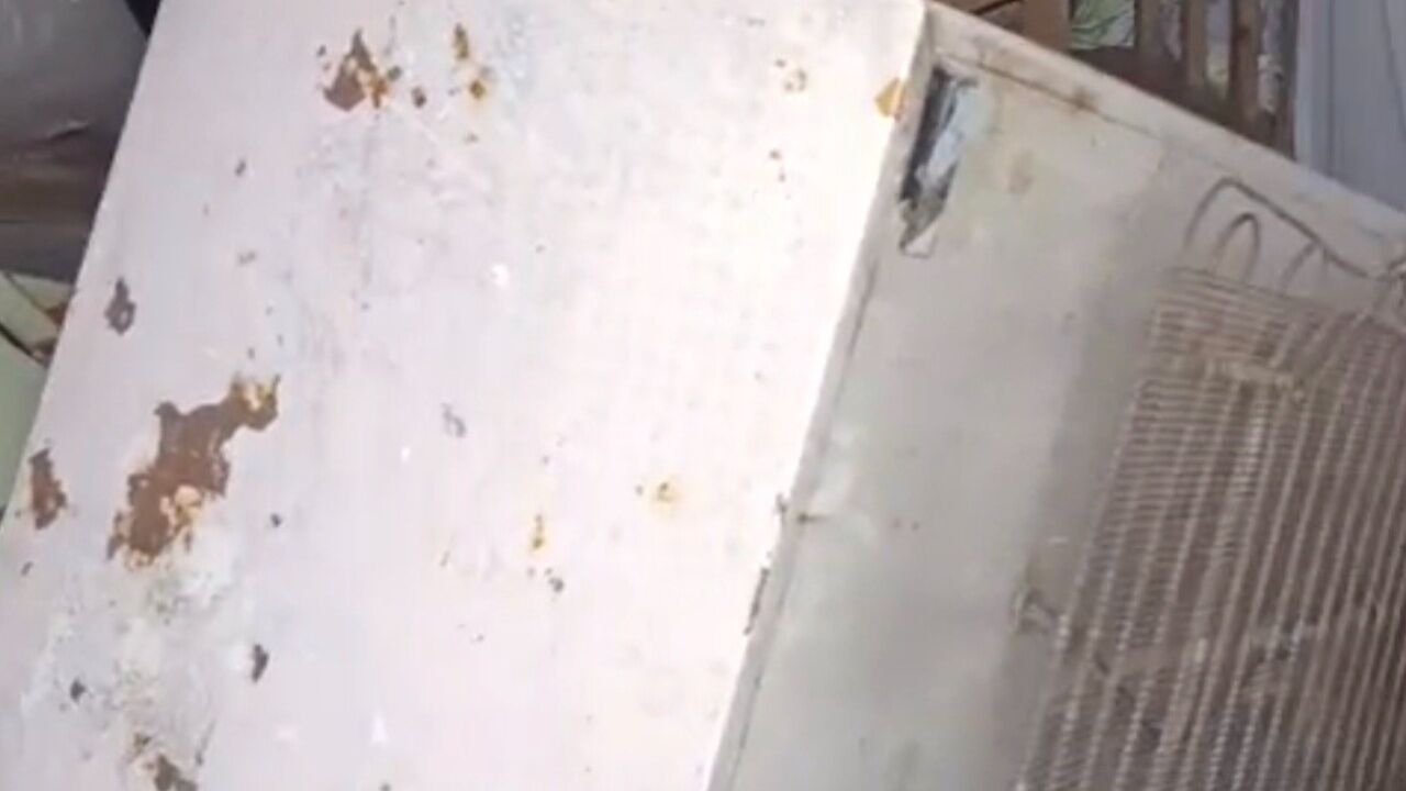 Yaylada Korku Dolu Anlar! Ayı 20 Evi Bastı, Her Şeyi Altüst Etti
