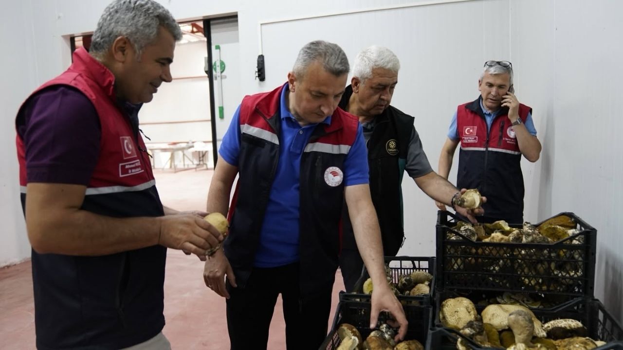 Bakan Danışmanı Ali Bayraktaroğlu Kastamonu’daki Yatırımları Inceledi (1)