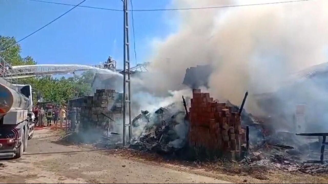 Bartın Yangın (2)-2