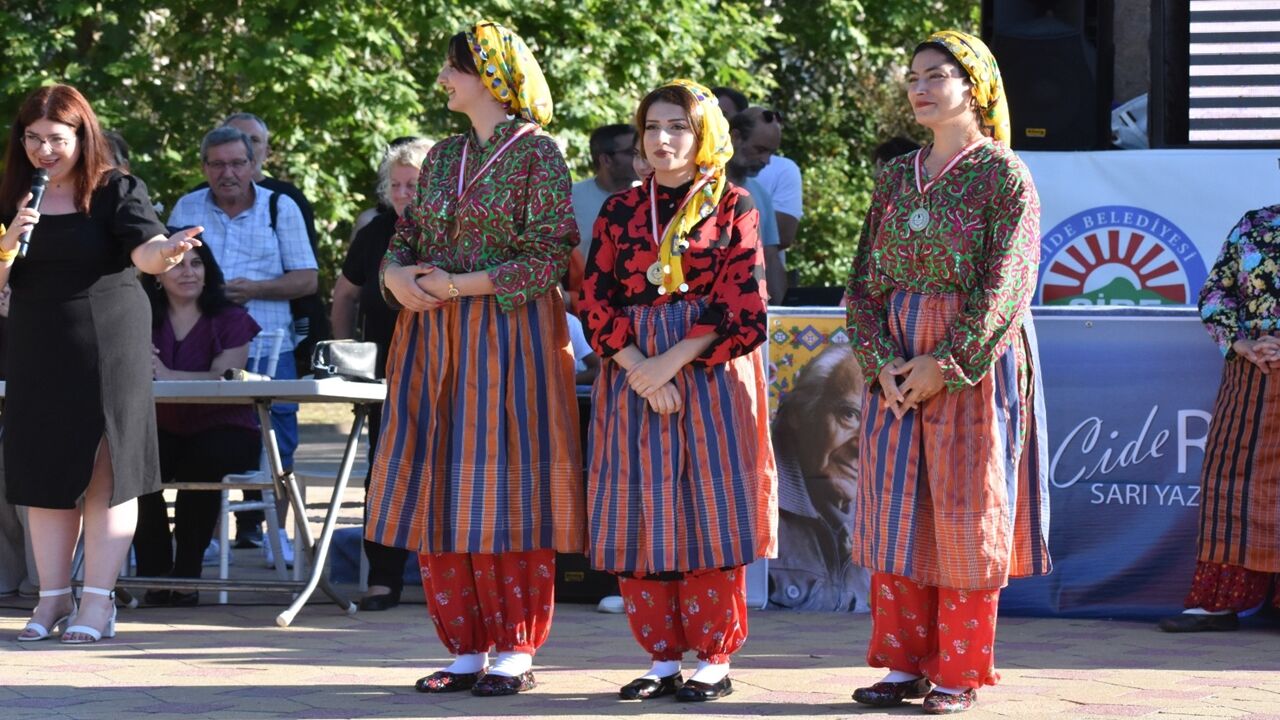 Cide Festival (2)