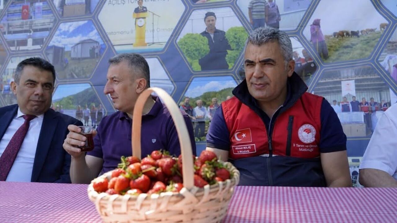 Daday'da Kadın Girişimciden Büyük Başarı! 1 Dekarlık Çilek Bahçesi 6 Dekara Ulaştı (3)