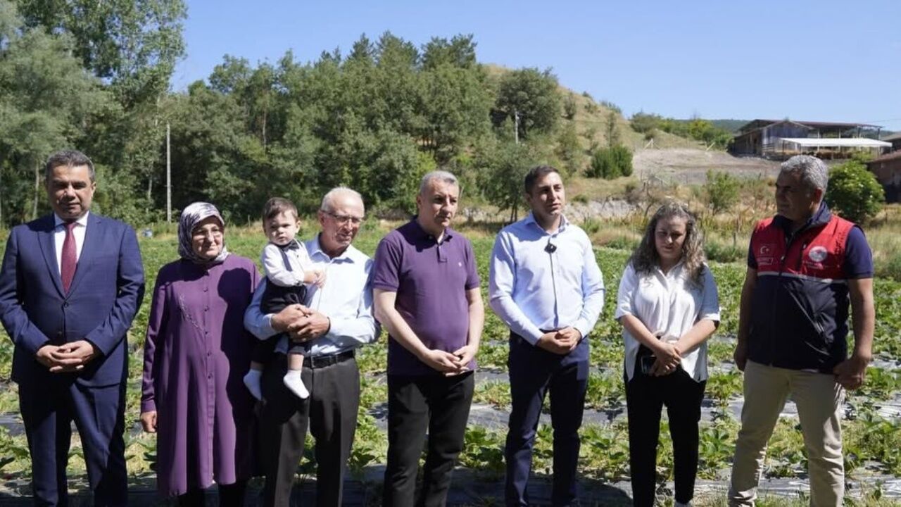 Daday'da Kadın Girişimciden Büyük Başarı! 1 Dekarlık Çilek Bahçesi 6 Dekara Ulaştı (7)