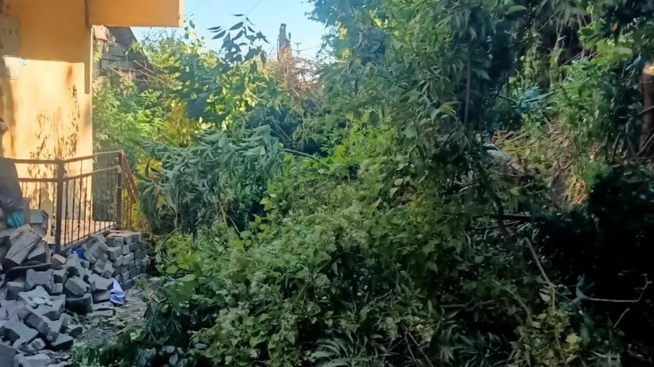 Doğanyurt (1)
