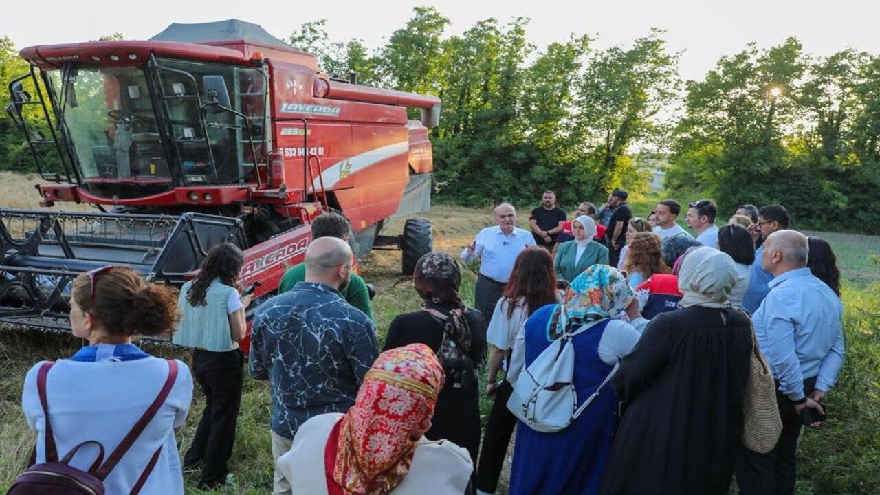Düzce Siyez (1)