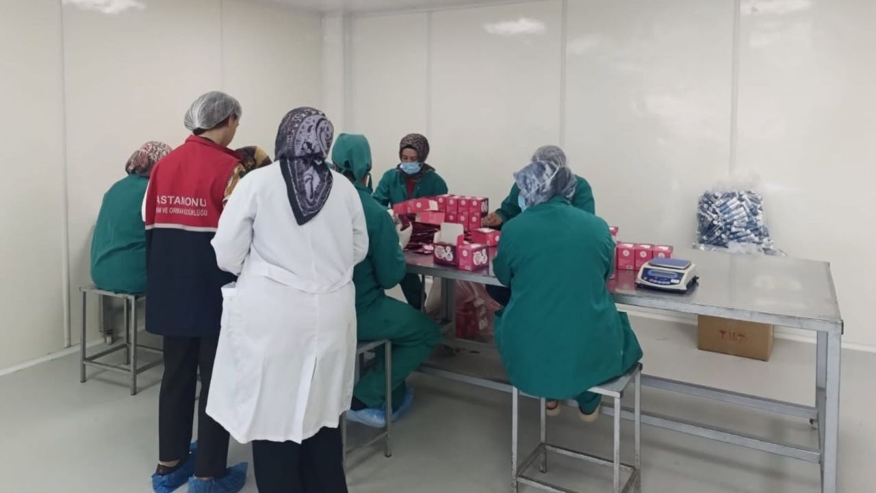Gıda Denetimi (1)