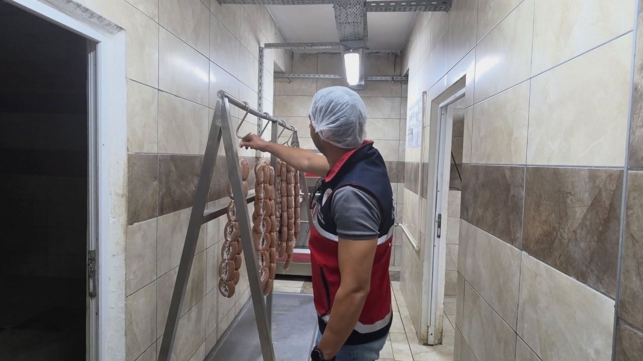 Gıda Denetimi (3)