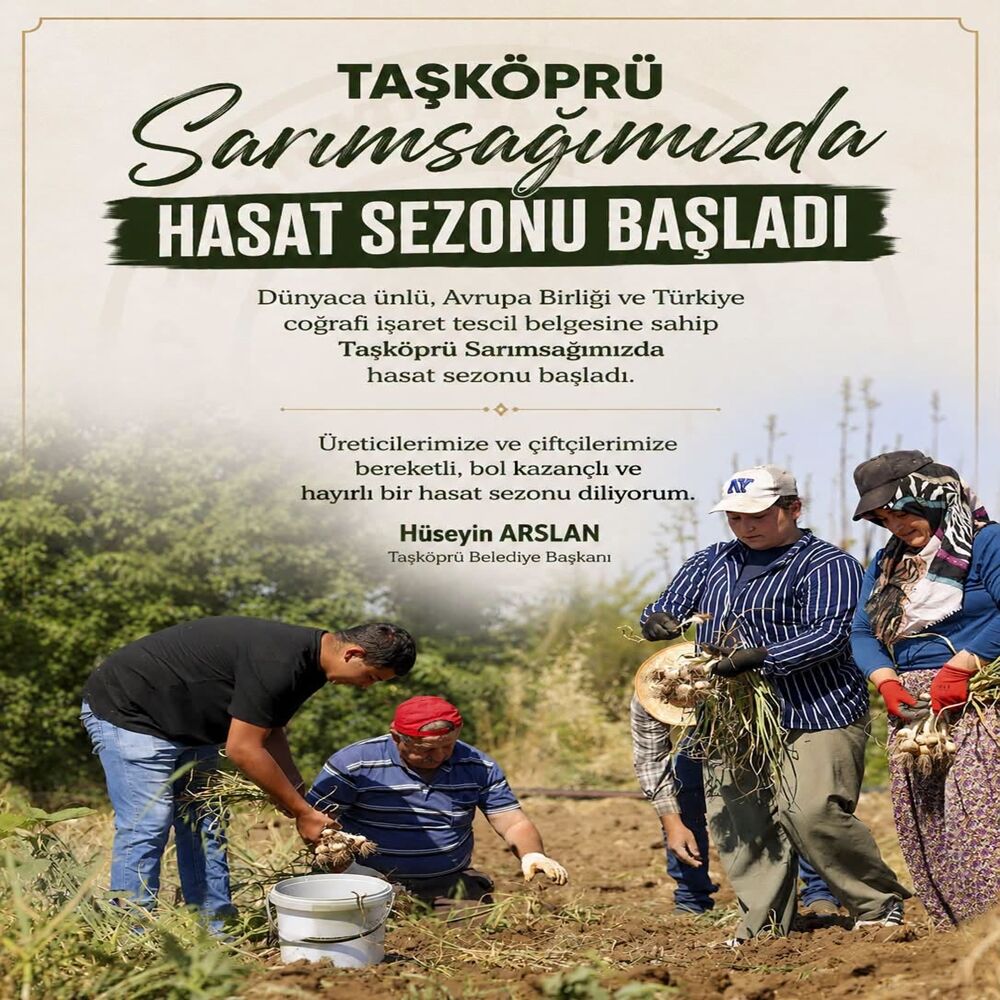 Hasat Sezonu Başladı