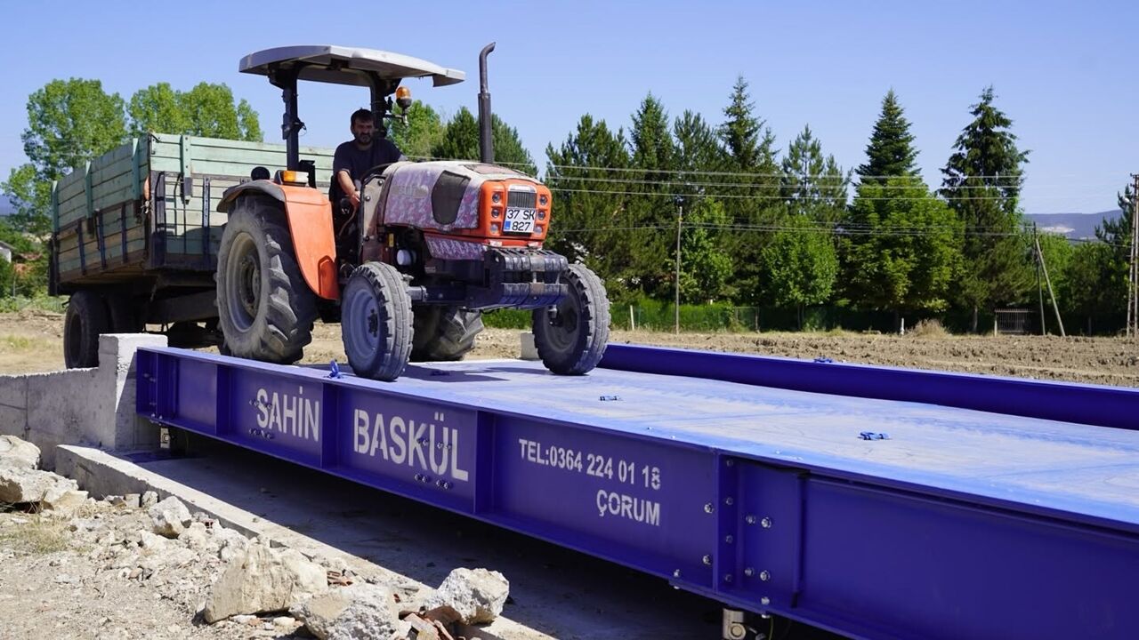 Hububat Alımı Başladı (2)