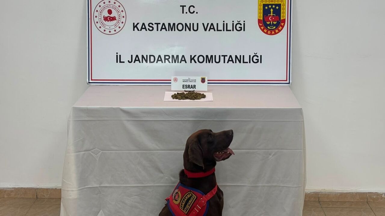 Jandarma Operasyon Kastamonu 5 Gözaltı (2)