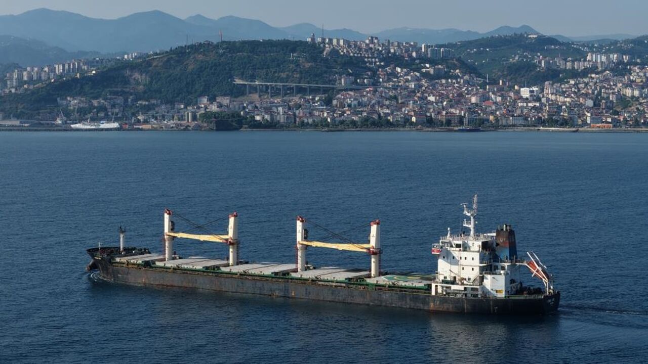 Karadeniz Dron Liman (2)