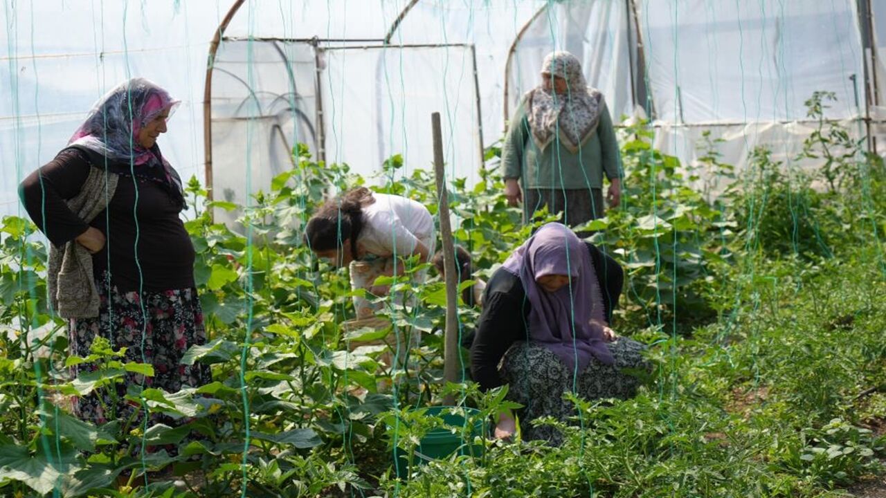 Kastamonu Da Girişimcilik Hikayesi (2)