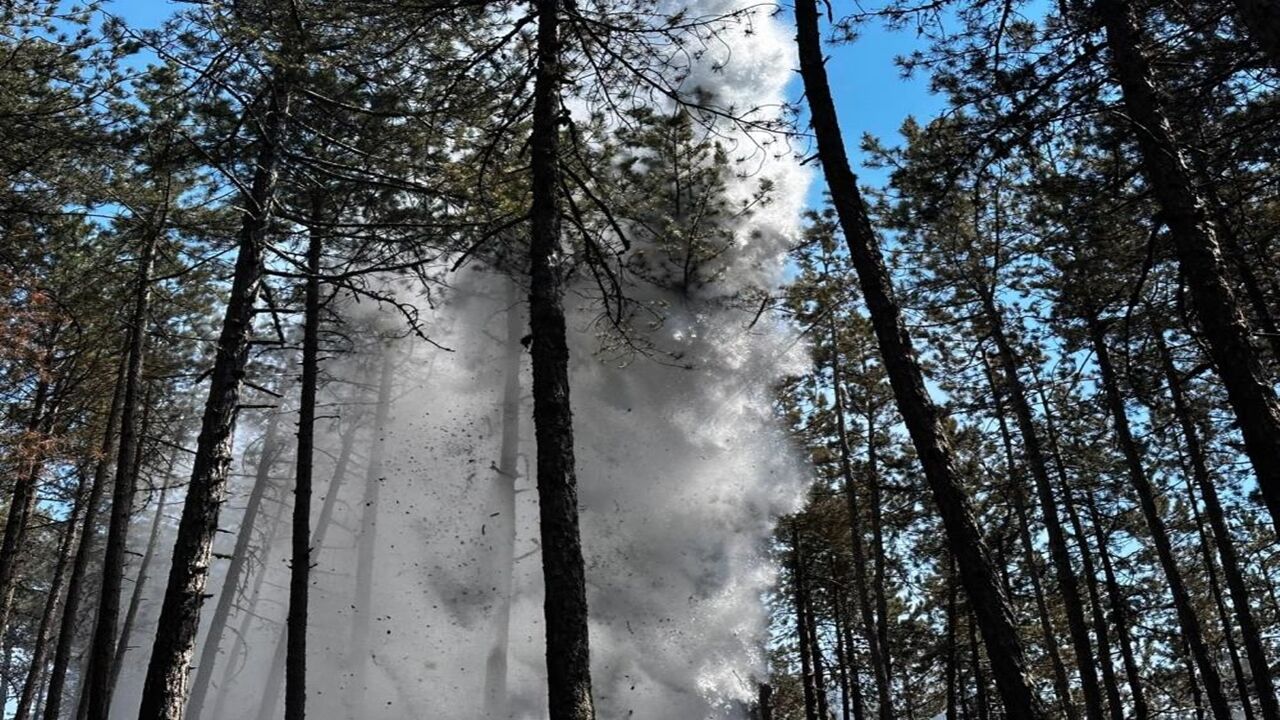 Kastamonu Da Orman Yangın Çıktı Havadan Karadan (1)