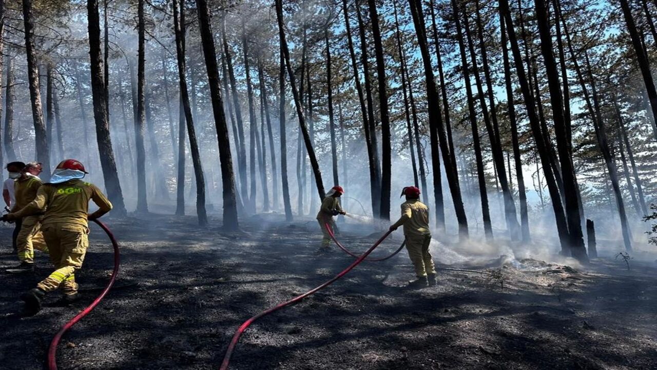 Kastamonu Da Orman Yangın Çıktı Havadan Karadan (3)