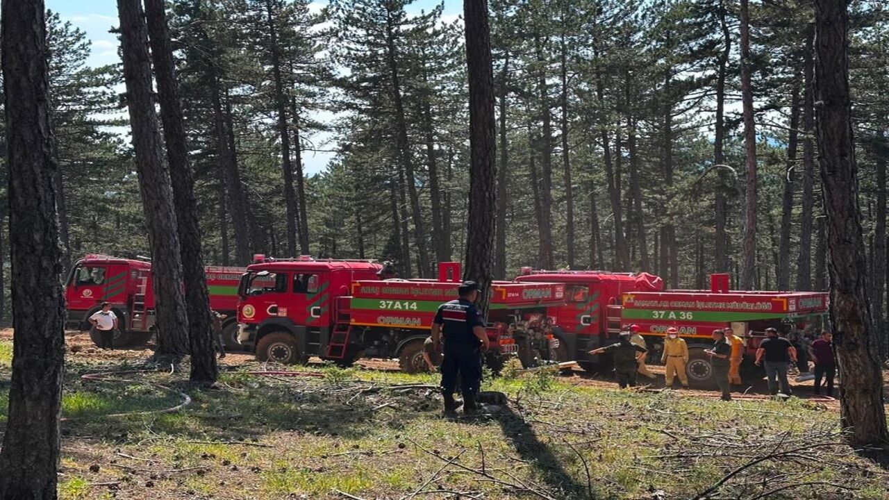 Kastamonu Da Orman Yangın Çıktı Havadan Karadan (4)