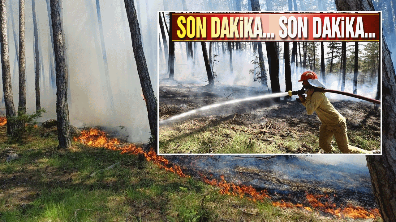 Son dakika: Kastamonu'da orman yangını çıktı! Havadan ve karadan müdahale